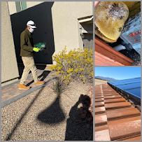 rodent control Henderson