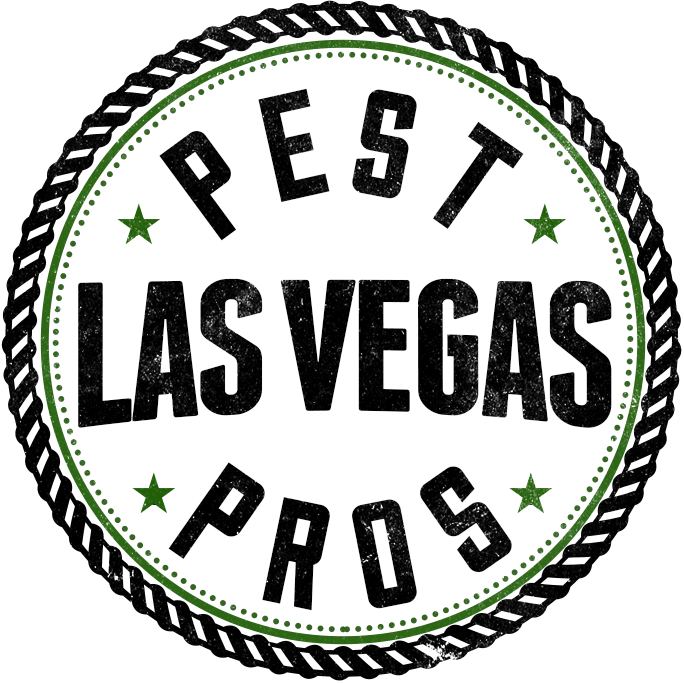 Gallery image 4 — spider extermination Las Vegas