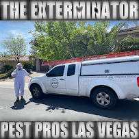 Gallery image 5 — spider extermination Las Vegas