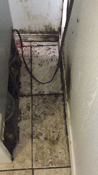 spider extermination Las Vegas