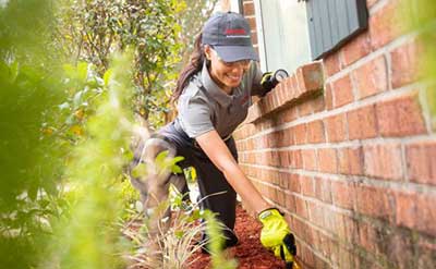 Gallery image 6 — mosquito control Summerlin