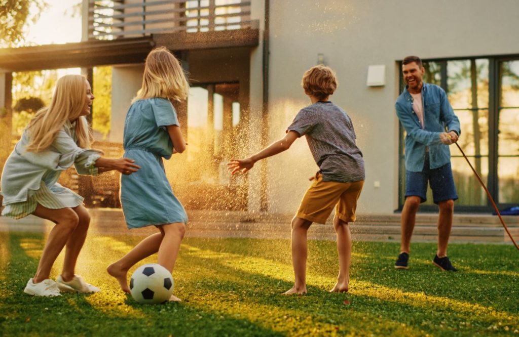 mosquito control Summerlin