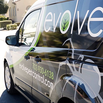 emergency pest control Las Vegas