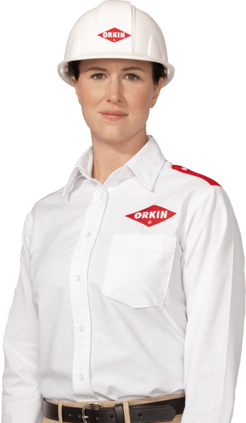 Gallery image 5 — emergency pest control San Diego