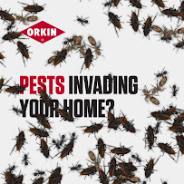 Gallery image 6 — emergency pest control San Diego