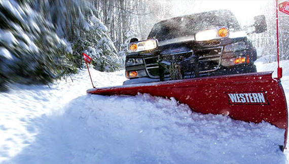 Gallery image 9 — yard clean up Bronx