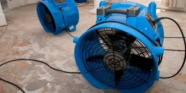 Gallery image 1 — 24/7 water extraction service North Dallas