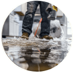 emergency mold removal Metro Atlanta