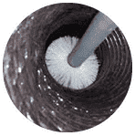 Gallery image 8 — commercial mold remediation Marietta