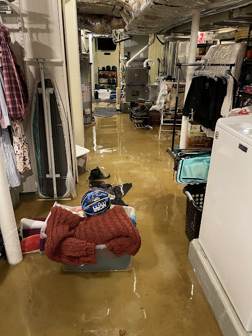 mold removal Atlanta GA