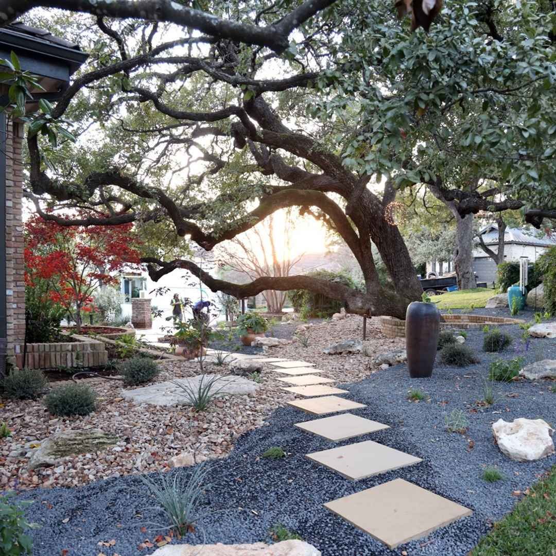 Gallery image 3 — commercial landscaping in Rollingwood