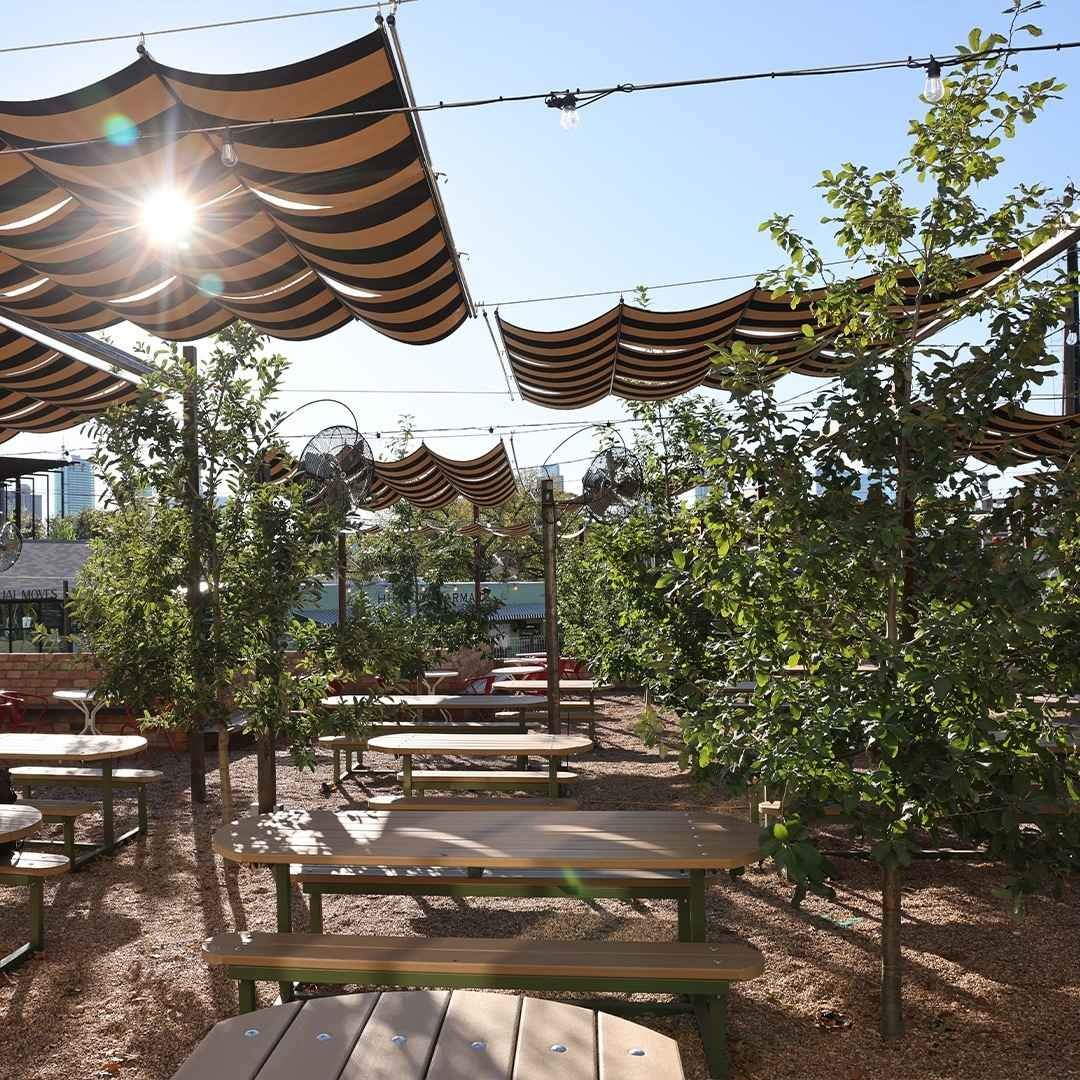 Gallery image 10 — commercial landscaping in Rollingwood