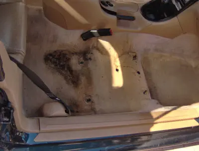 interior car detailing Orlando photo