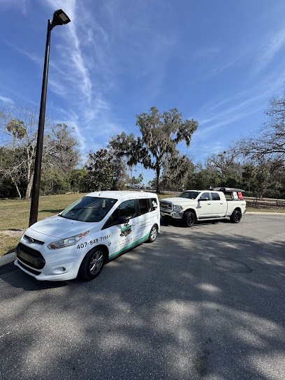 stubborn stain removal car detailing Orlando photo
