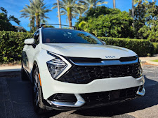 stubborn stain removal car detailing Orlando photo