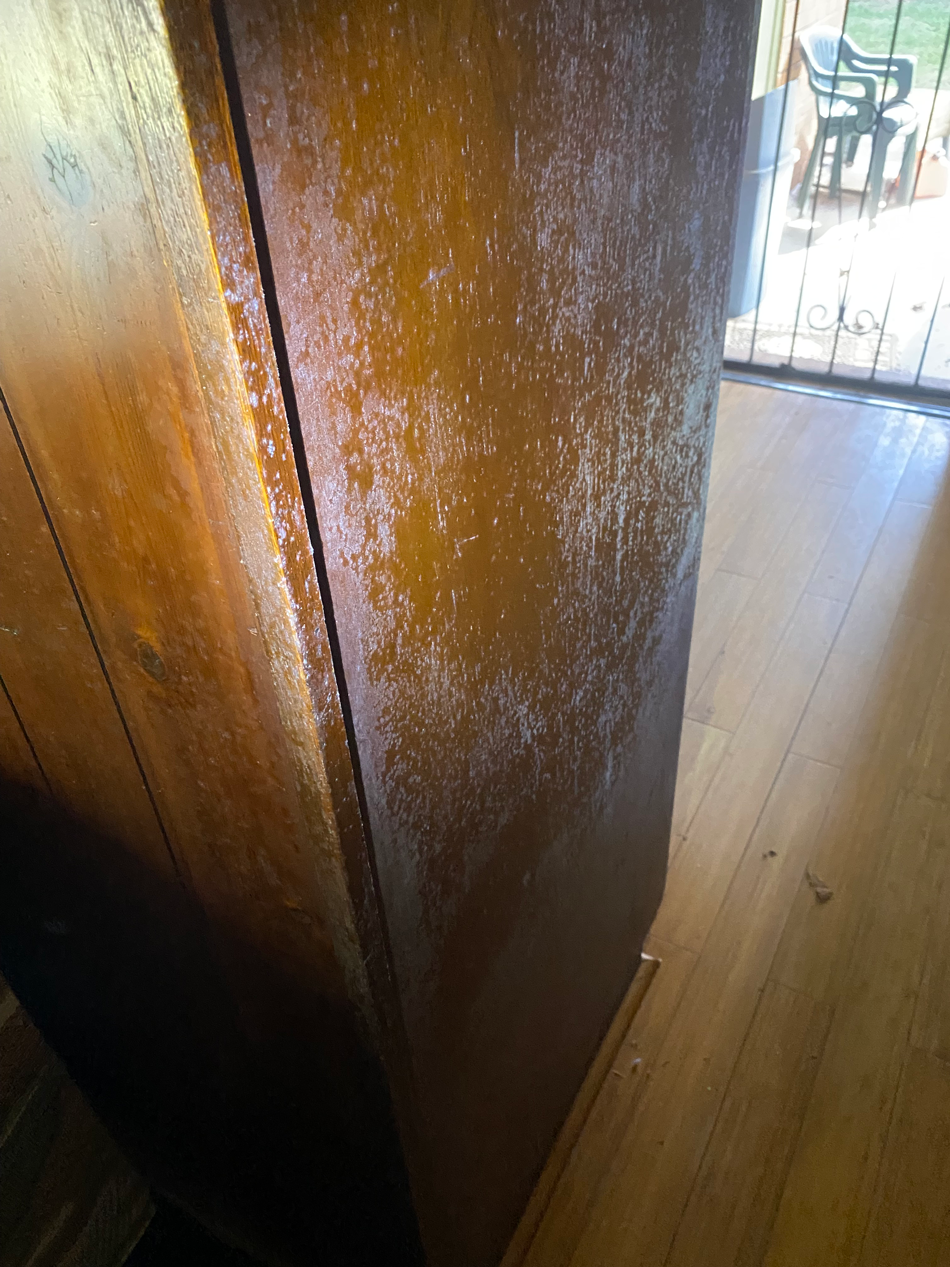 crawl space mold cleanup near me photo