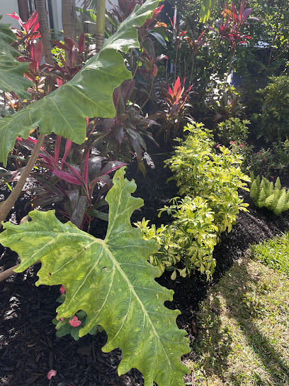 best lawn care in Plantation photo