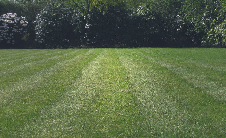 xeriscaping services Miami photo