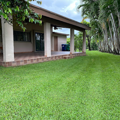 commercial lawn care in London Lawn Care Service photo