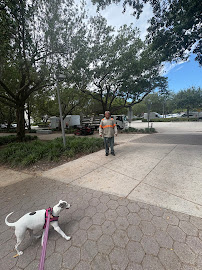 roadway landscaping Florida