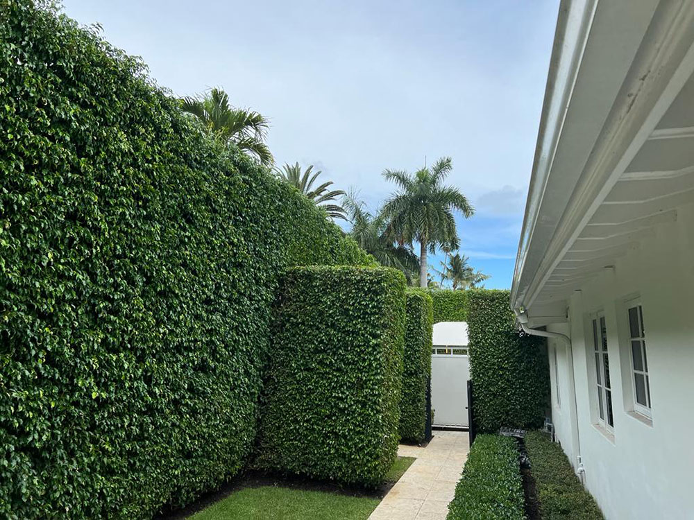 experienced landscapists Gaston Landscaping Services, LLC photo