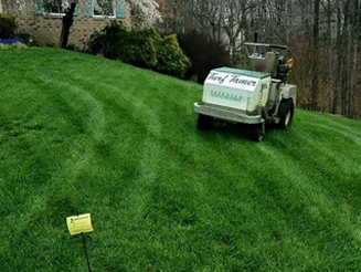 best lawn care company in Coral Gables photo