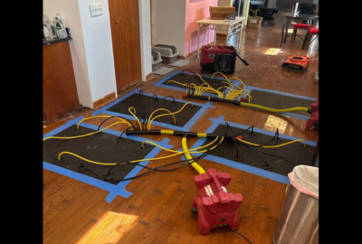 mold removal services in Downtown Chicago photo