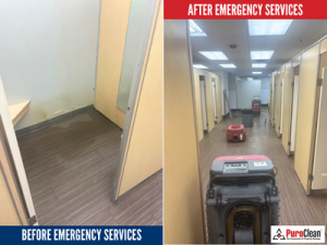 mold removal services in Downtown Chicago photo