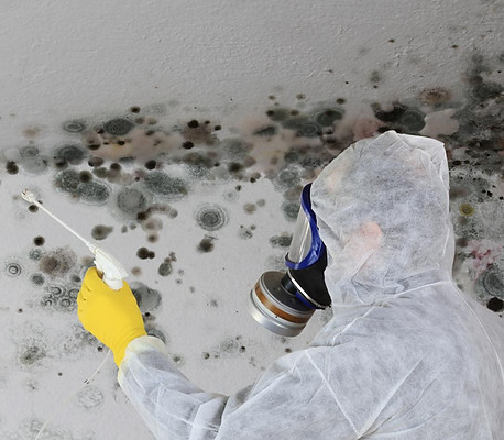 mold remediation McHenry County photo