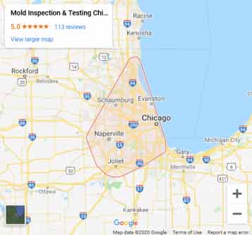 black mold testing Chicago photo