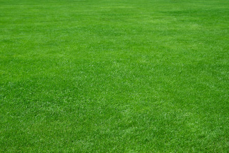 best lawn seeding Stonecrest photo