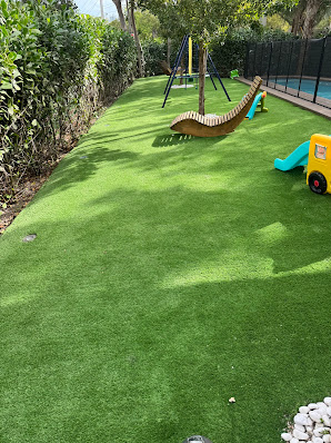 same day lawn care Miami photo