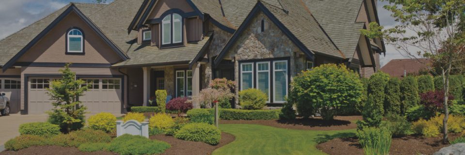 weed control Atlanta photo