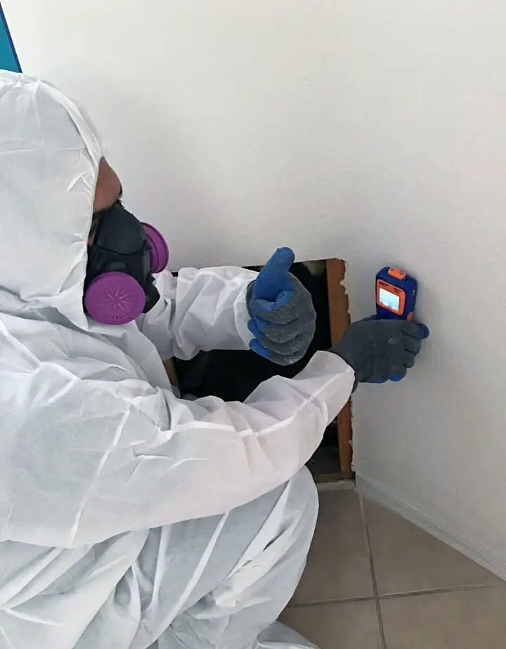 commercial restoration services Summerlin South photo