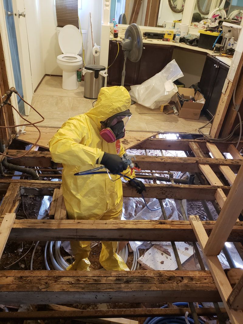 best mold removal company in Las Vegas photo