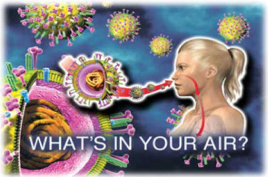 best mold removal company in Las Vegas photo