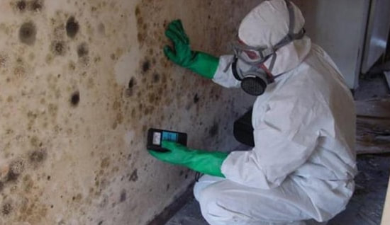 best mold removal company in Las Vegas photo