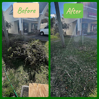 same day junk removal near me