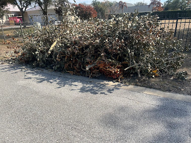 demolition dumpster Orlando photo