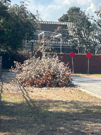 demolition dumpster Orlando photo