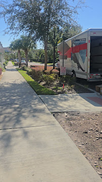 local moving company Orlando FL photo