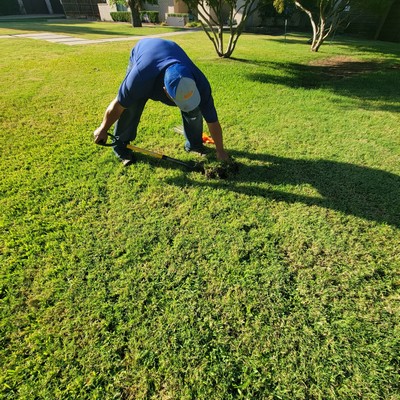 Christmas lighting installation Dallas photo