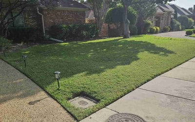 best lawn care in Dallas photo