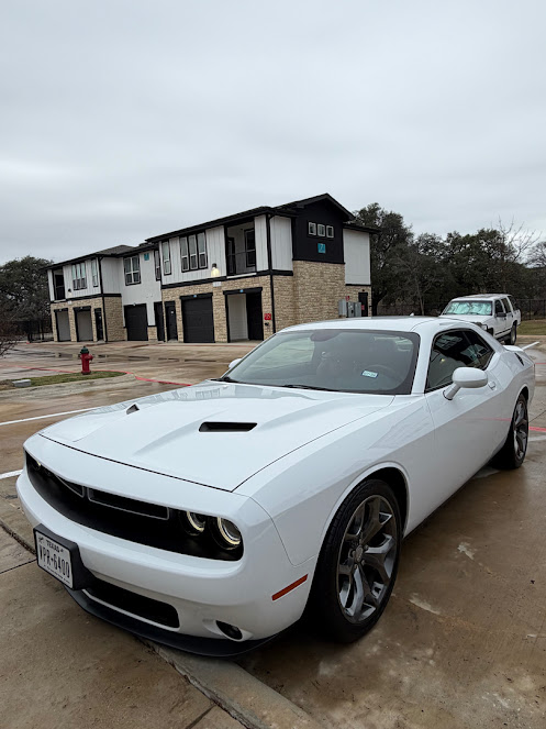 pet hair removal detailing Austin photo