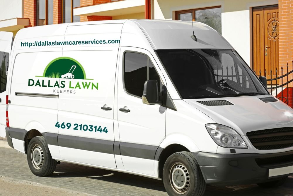 landscape lighting installation Dallas