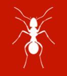 rodent removal Atlanta Metro photo