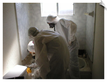 24 hour water damage repair Dallas photo