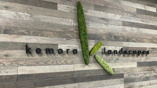 snow removal service Chicago photo