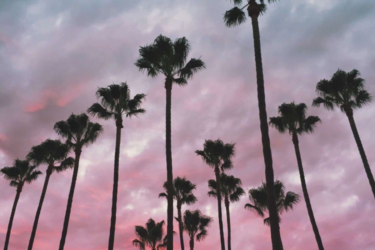 best HVAC company in San Diego photo