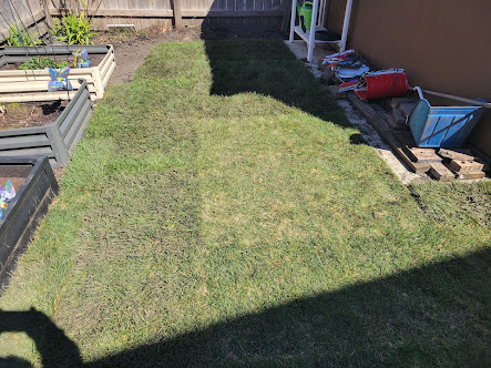 yard cleanup services near me photo